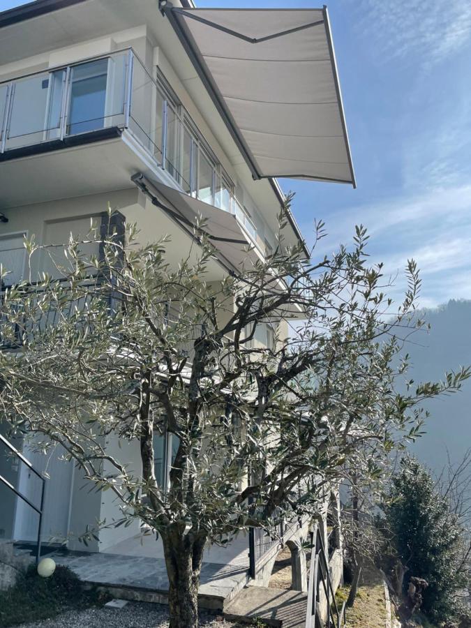 Casa Colmegna Mit Traumhaften See- Und Bergblick Luino Extérieur photo